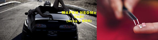 прущий лед Алзамай