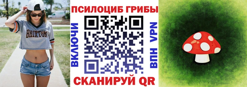 дарнет шоп  МЕГА маркетплейс  это телеграм  Лысково  Галлюциногенные грибы Psilocybe 